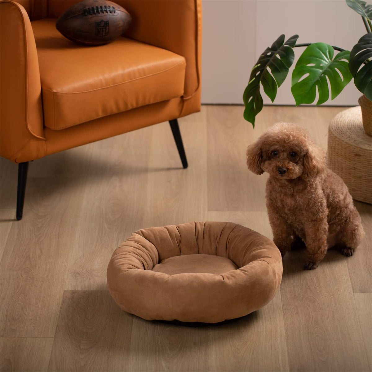 Soft Round Dog Bed with Raised Walls