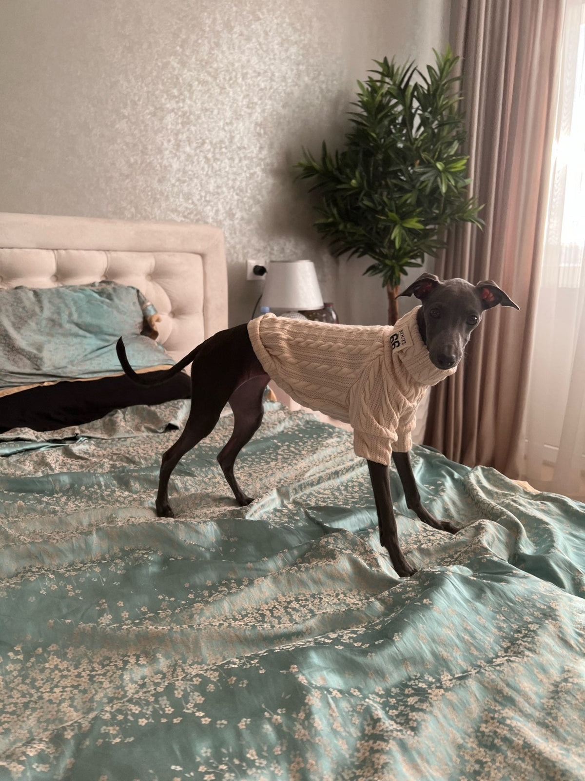 Knit Turtleneck Sweater for Small Dogs & Cats