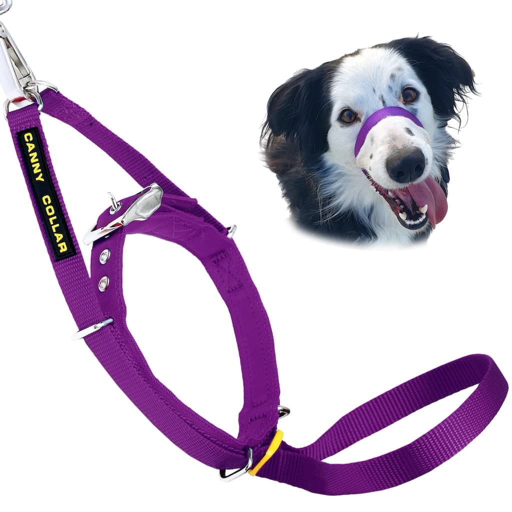 Canny No-Pull Head Collar for Dogs