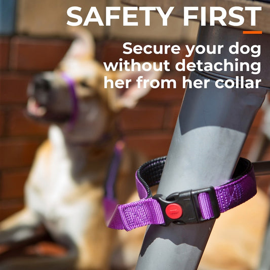 Canny CONNECT Anti-Escape Dog Leash
