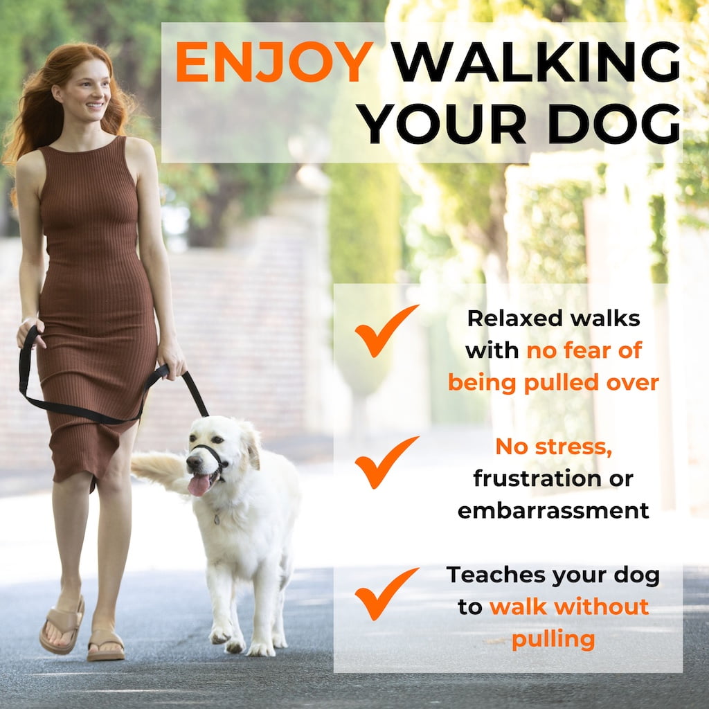 Canny No-Pull Head Collar for Dogs
