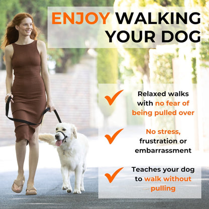 Canny No-Pull Head Collar for Dogs
