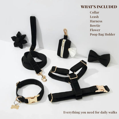 Black Velvet Walking Set