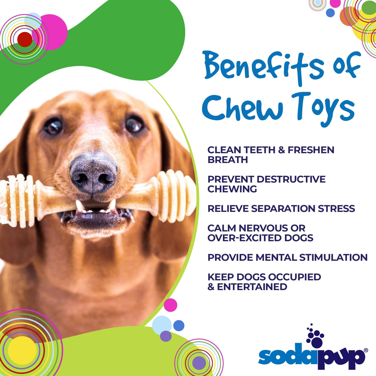 Honey Bone Nylon Chew Toy – USA Made