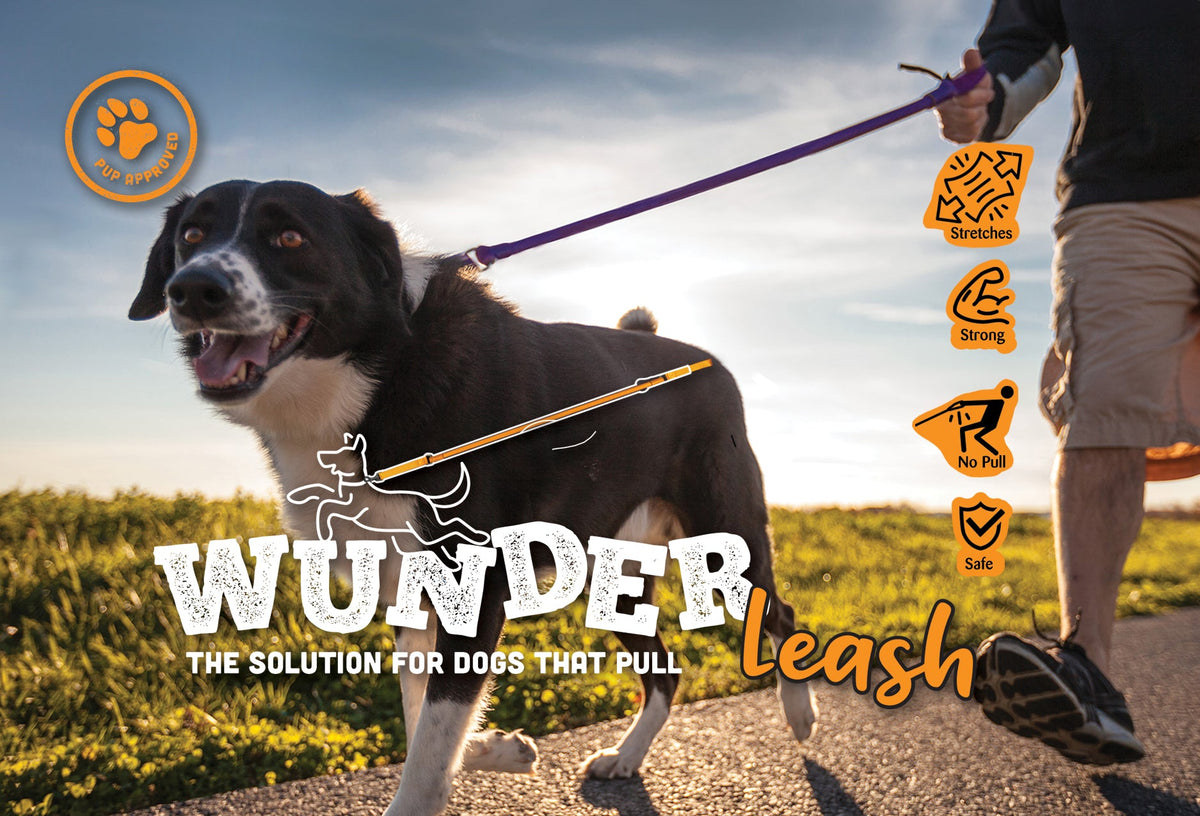 WUNDERleash No-Pull Dog Leash