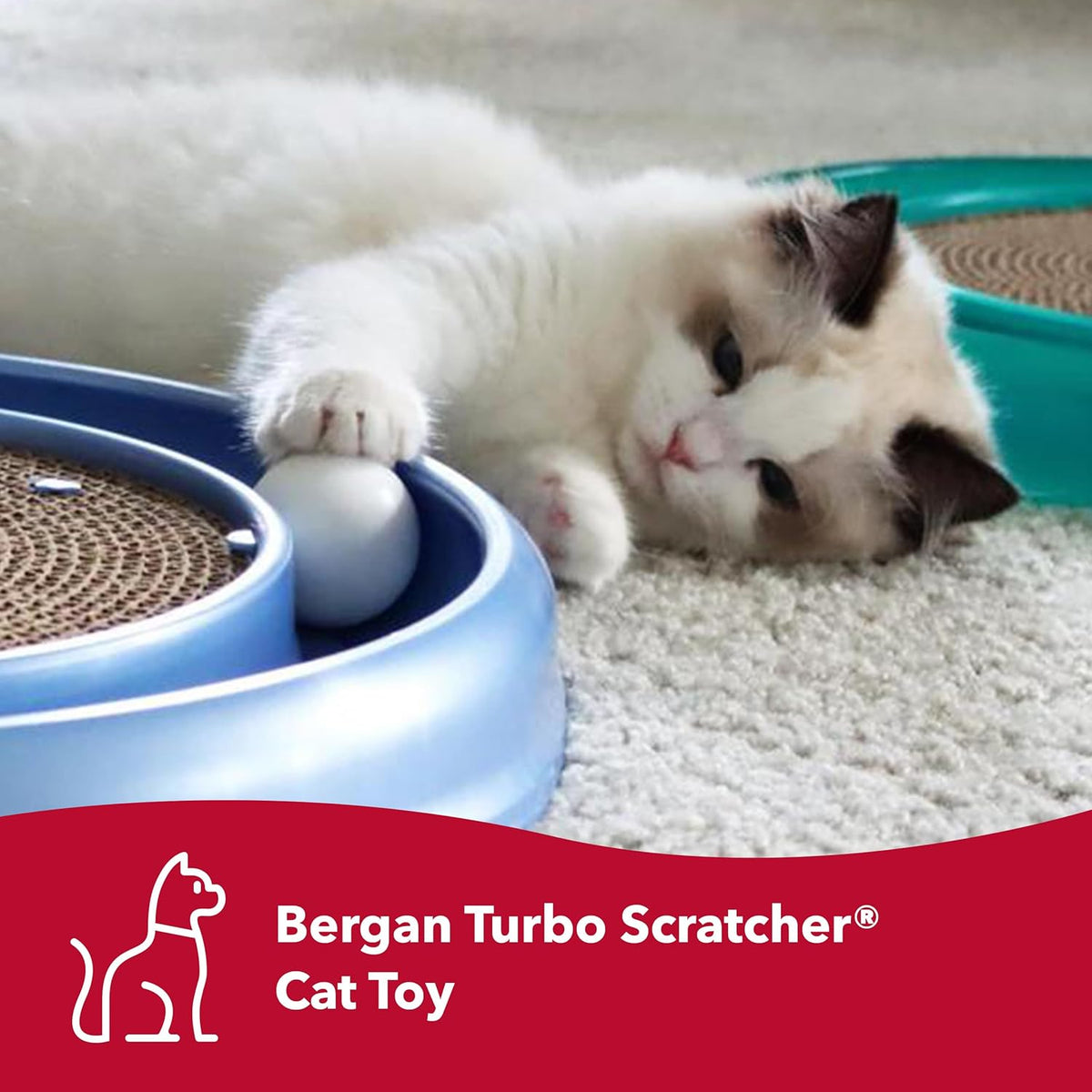 Turbo Cat Scratcher with Grooming Arch Combo