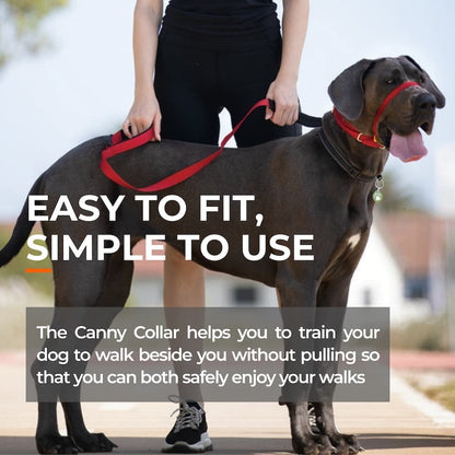 Canny No-Pull Head Collar for Dogs