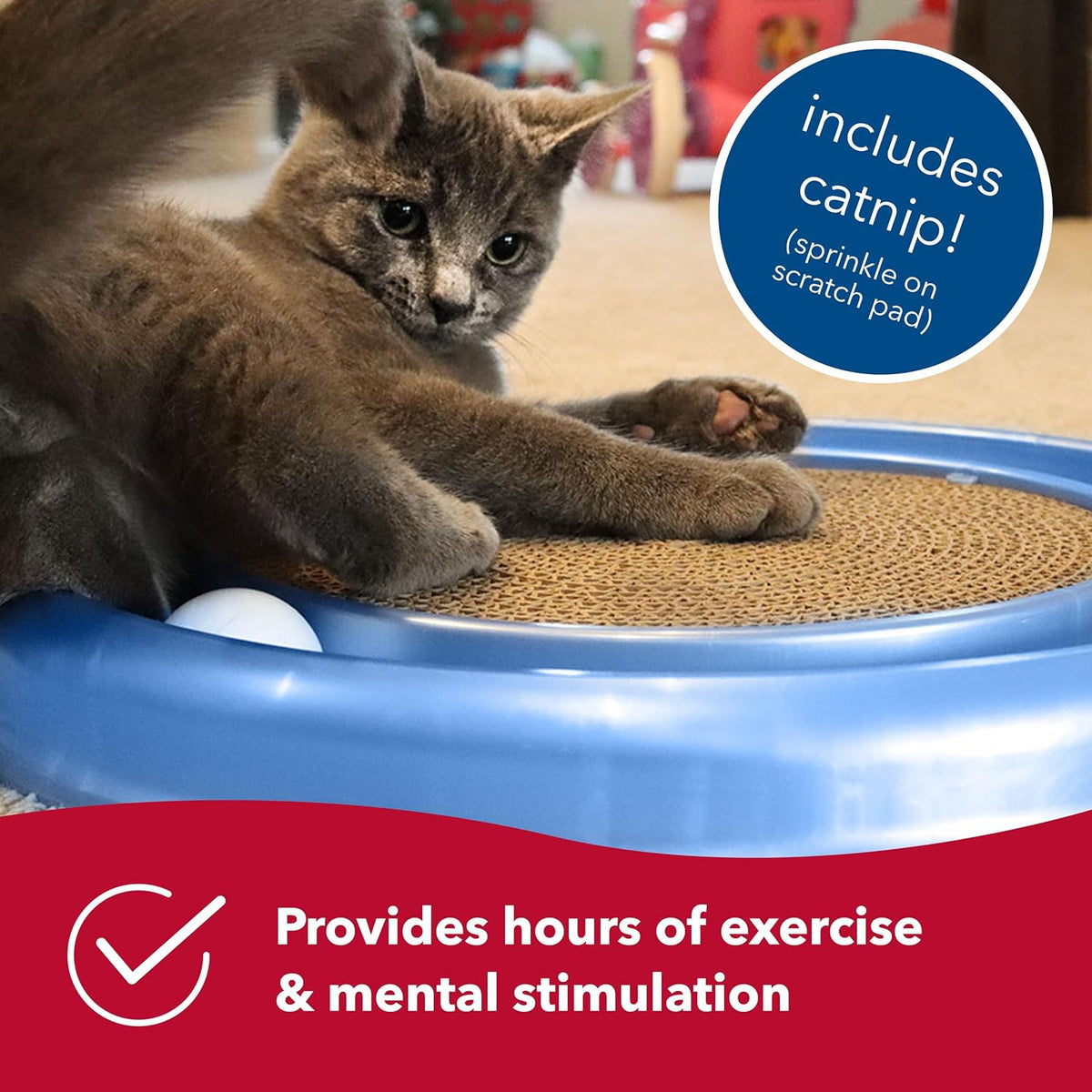 Turbo Cat Scratcher with Grooming Arch Combo