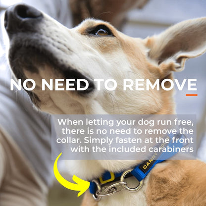 Canny No-Pull Head Collar for Dogs