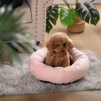 Soft Round Dog Bed with Raised Walls