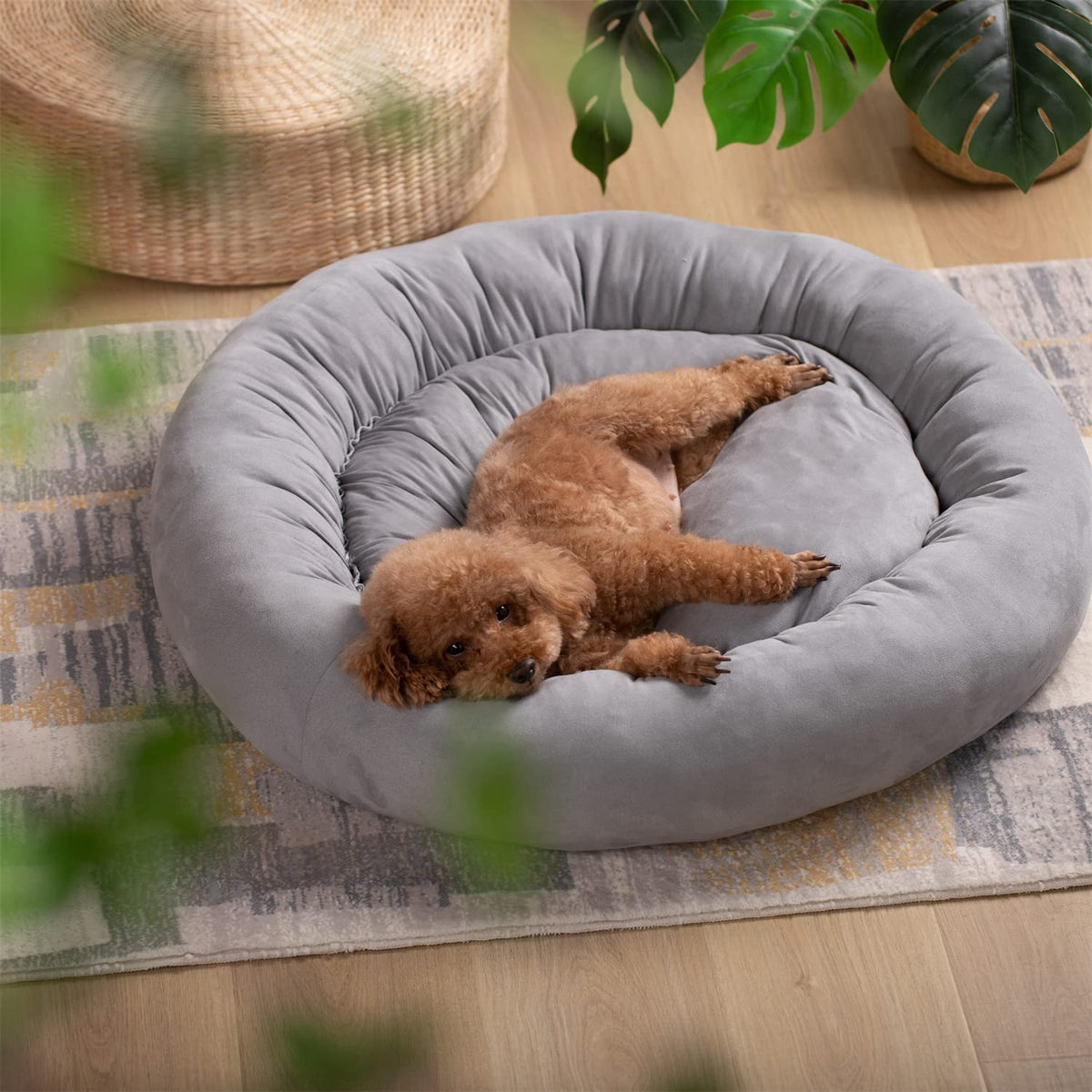 Soft Round Dog Bed with Raised Walls