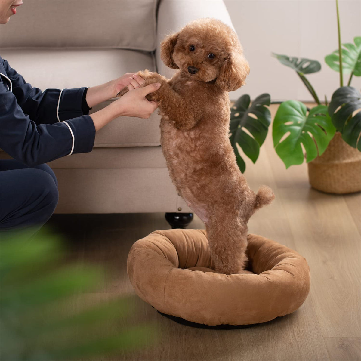 Soft Round Dog Bed with Raised Walls