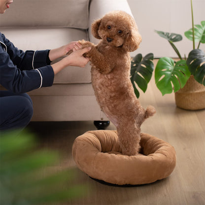 Soft Round Dog Bed with Raised Walls