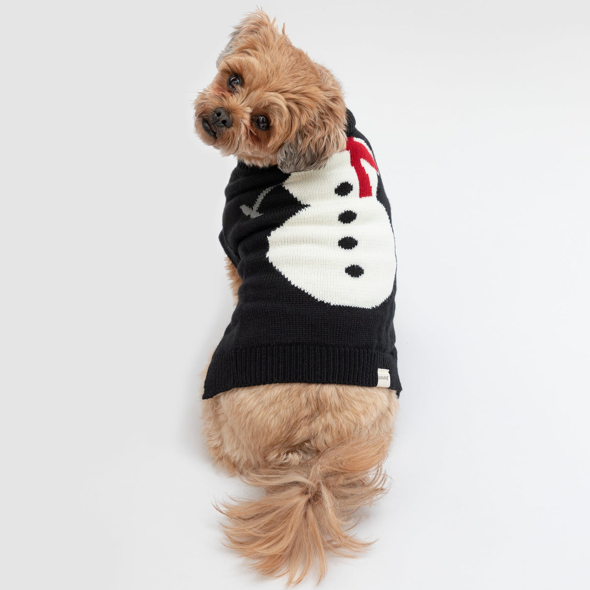 Holiday Pet Sweater – Santa, Gingerbread or Snowman