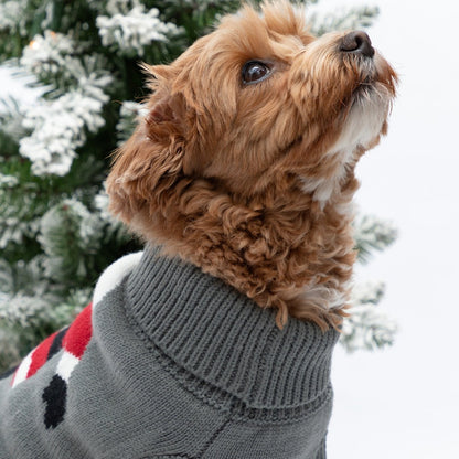 Holiday Pet Sweater – Santa, Gingerbread or Snowman