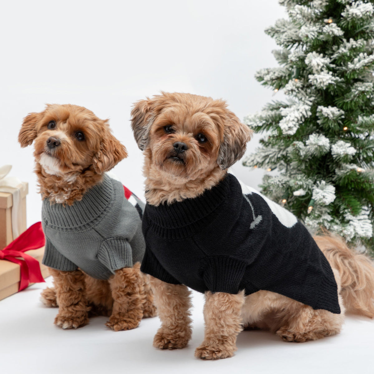 Holiday Pet Sweater – Santa, Gingerbread or Snowman