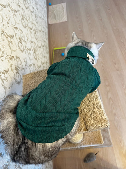 Knit Turtleneck Sweater for Small Dogs & Cats