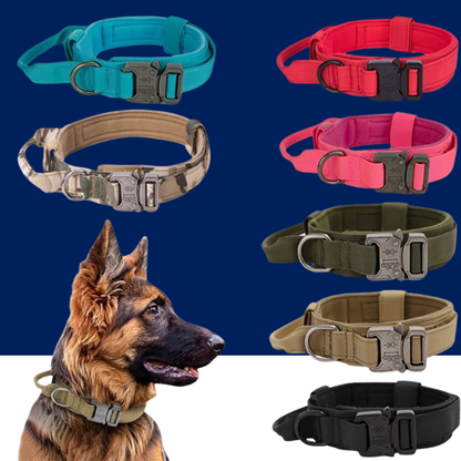 Reflective Nylon Dog Collar & Leash Set