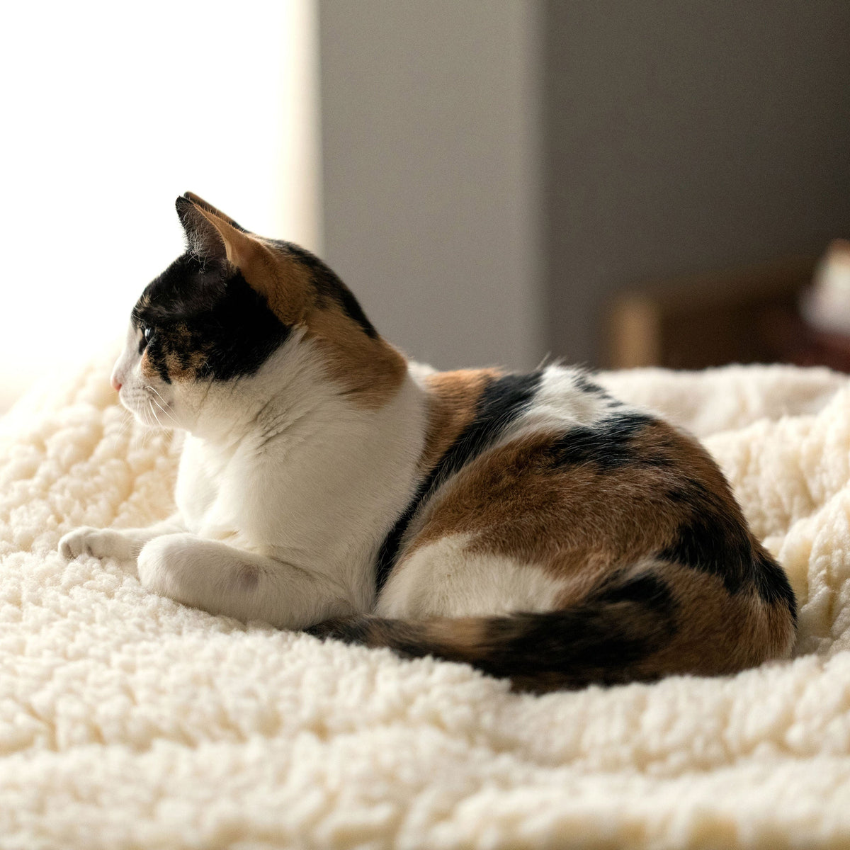 HuggleFleece Mat Dog & Cat Bed
