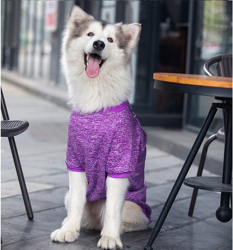 Big Dog Fleece Winter Sweater, Sizes 3XL–9XL