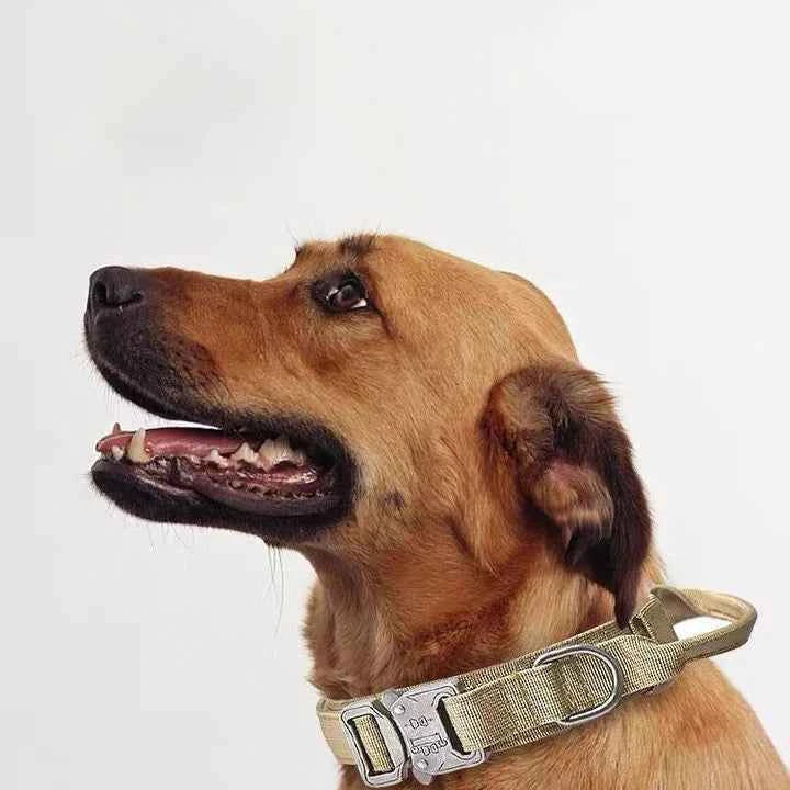 Reflective Nylon Dog Collar & Leash Set