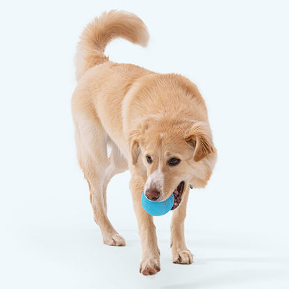 Jive Durable Dog Toy