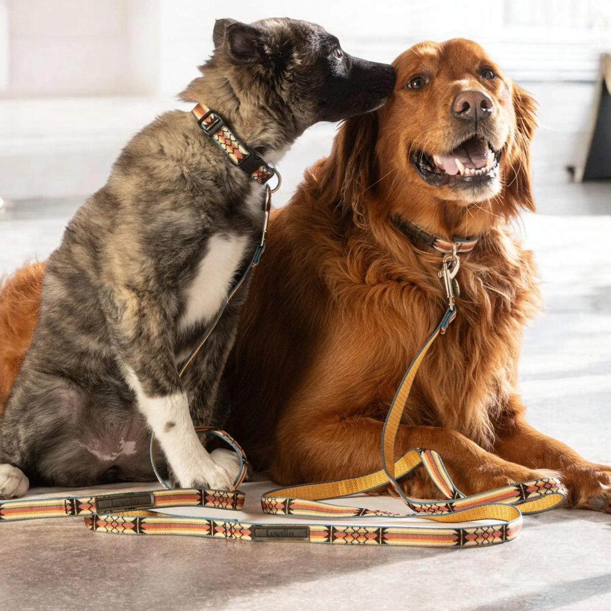 Classic Dog Leash – 1"