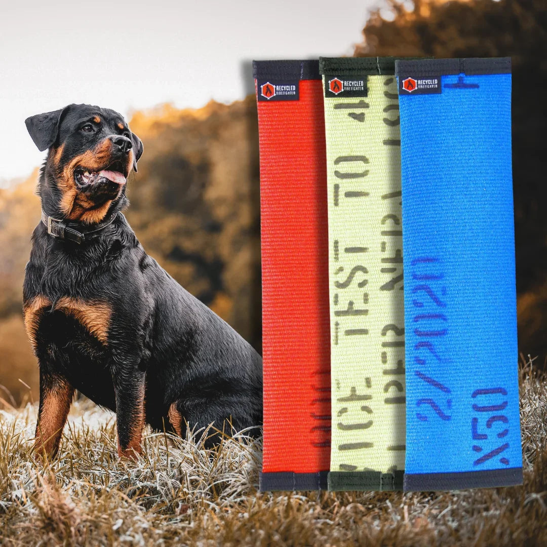 Recycled Fire Hose Dog Fetch Toy