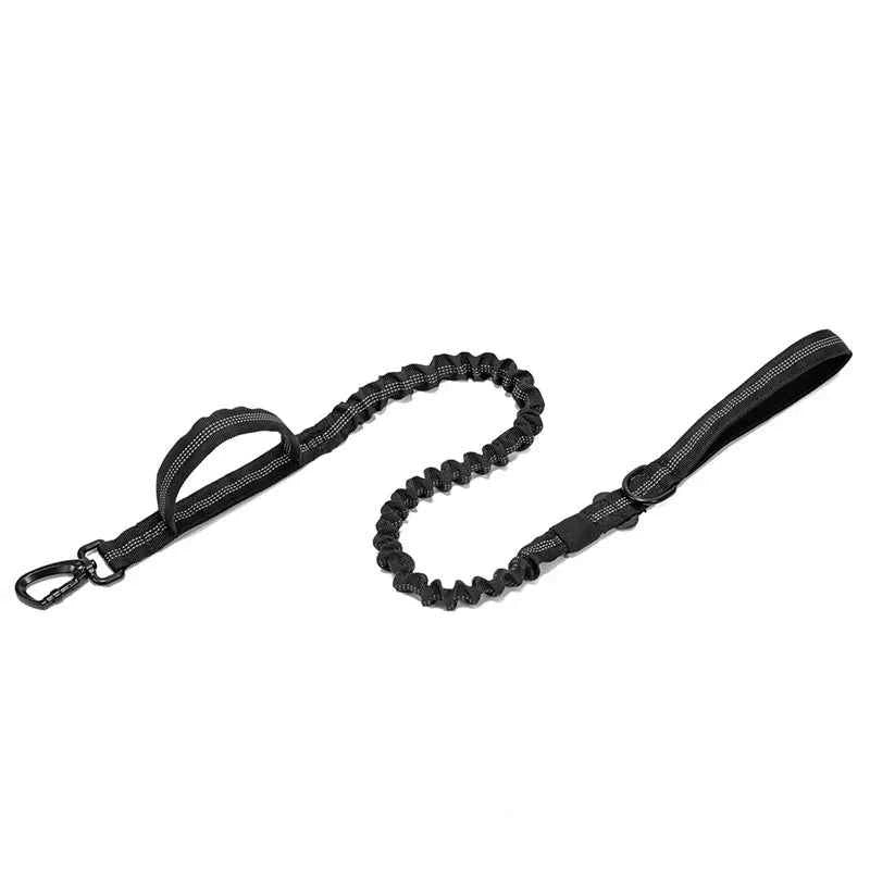 Reflective Nylon Dog Collar & Leash Set