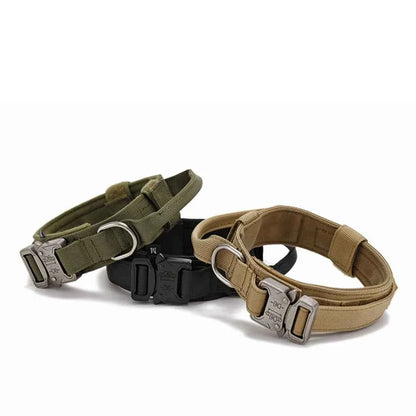 Reflective Nylon Dog Collar & Leash Set