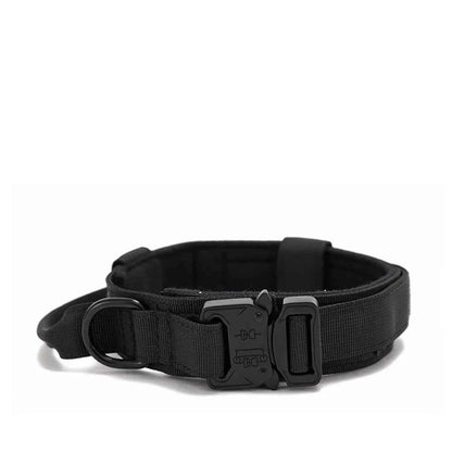 Reflective Nylon Dog Collar & Leash Set