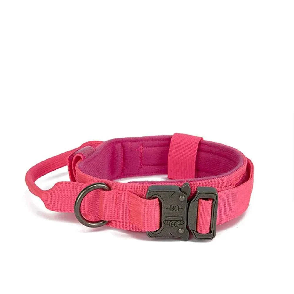 Reflective Nylon Dog Collar & Leash Set