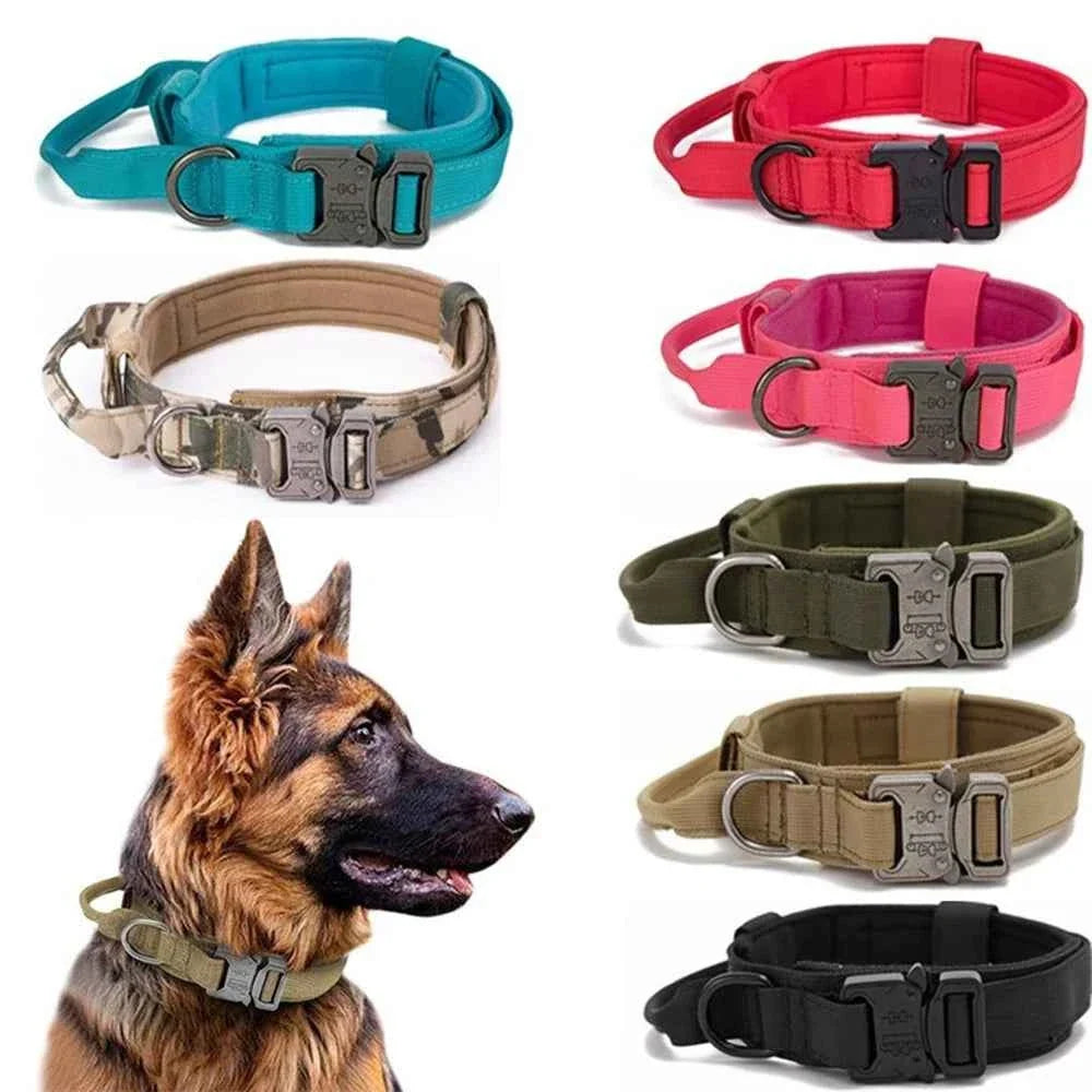 Reflective Nylon Dog Collar & Leash Set