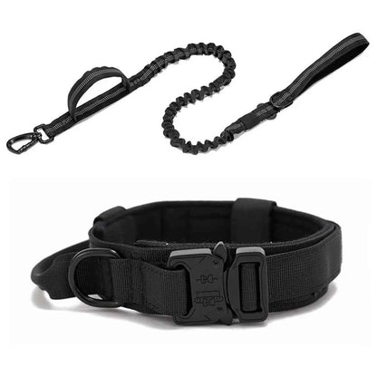 Reflective Nylon Dog Collar & Leash Set