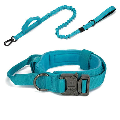 Reflective Nylon Dog Collar & Leash Set
