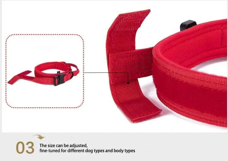 Reflective Nylon Dog Collar & Leash Set