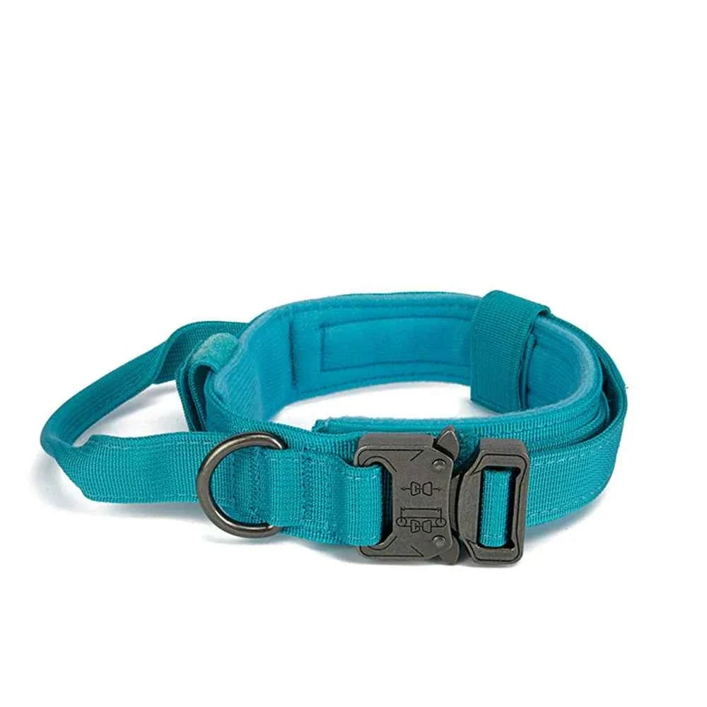Reflective Nylon Dog Collar & Leash Set