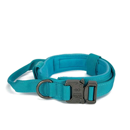 Reflective Nylon Dog Collar & Leash Set