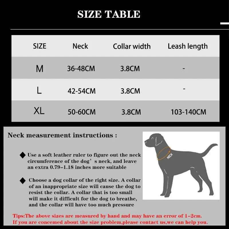 Reflective Nylon Dog Collar & Leash Set