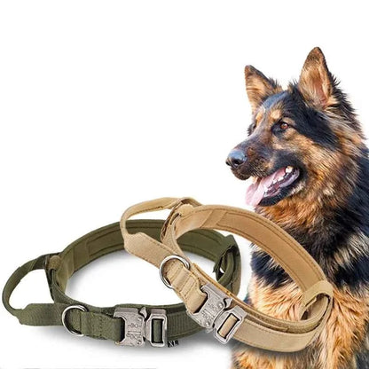 Reflective Nylon Dog Collar & Leash Set