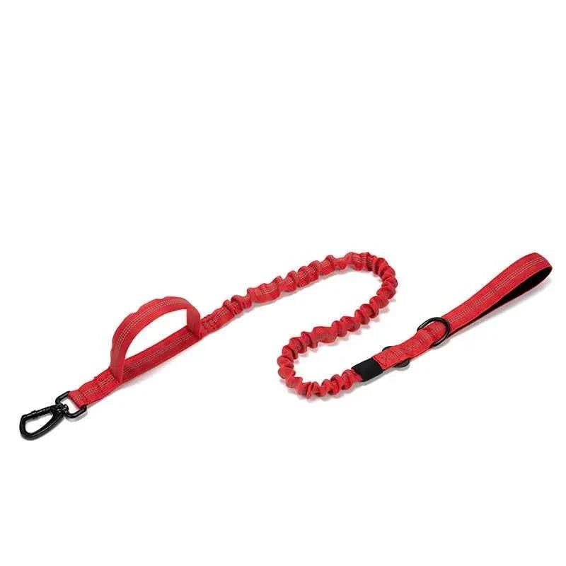 Reflective Nylon Dog Collar & Leash Set