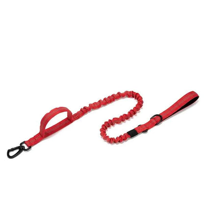 Reflective Nylon Dog Collar & Leash Set