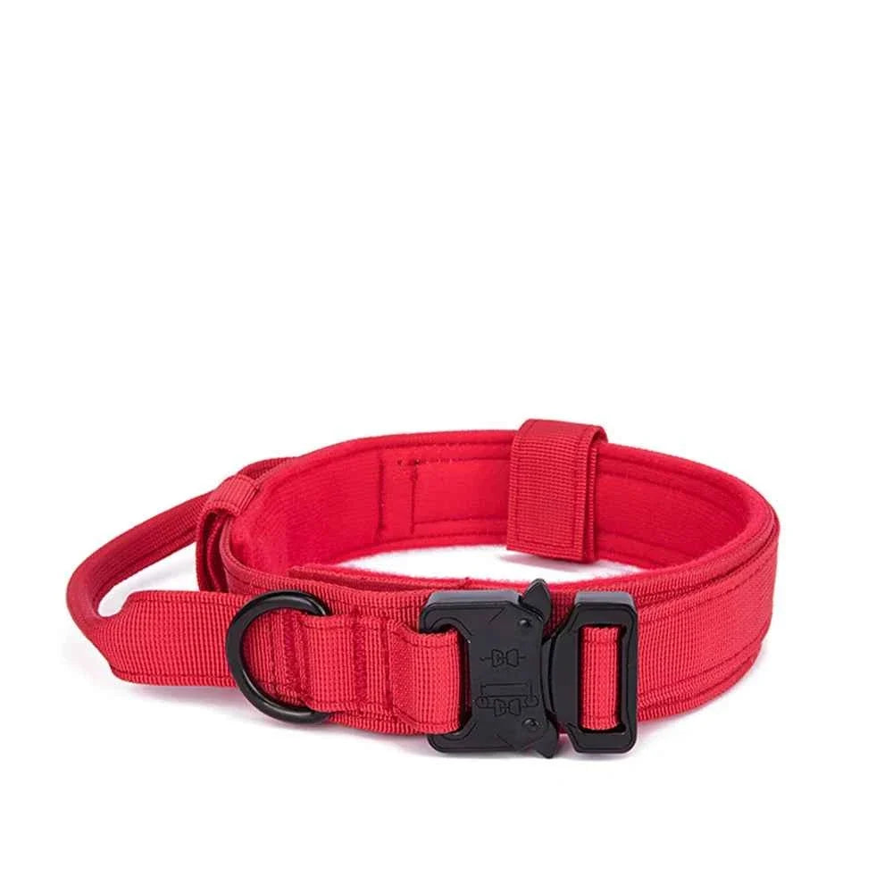 Reflective Nylon Dog Collar & Leash Set