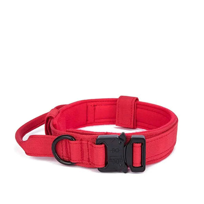 Reflective Nylon Dog Collar & Leash Set