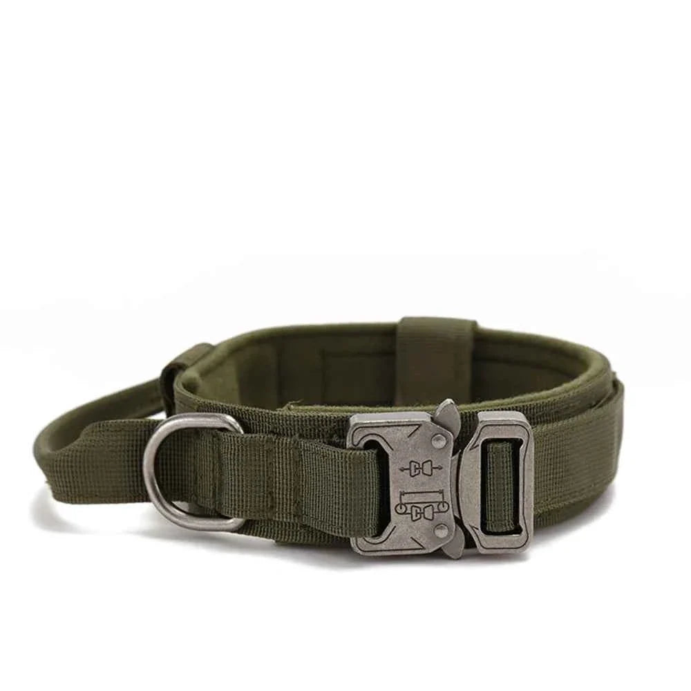 Reflective Nylon Dog Collar & Leash Set