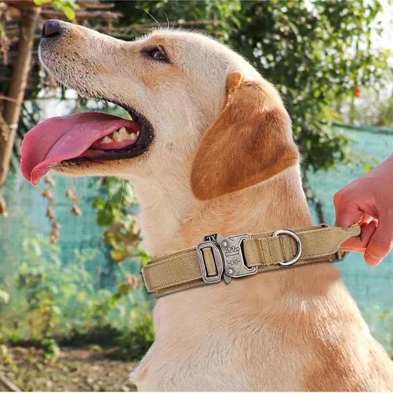 Reflective Nylon Dog Collar & Leash Set