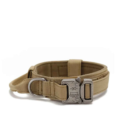 Reflective Nylon Dog Collar & Leash Set