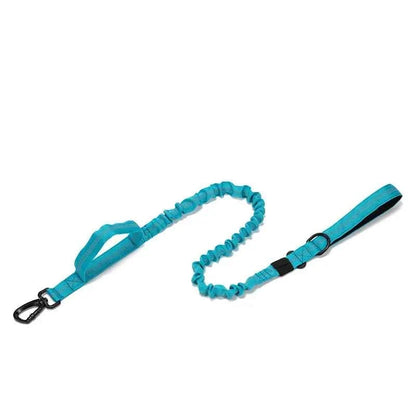 Reflective Nylon Dog Collar & Leash Set
