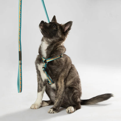 Classic Dog Leash – 1"