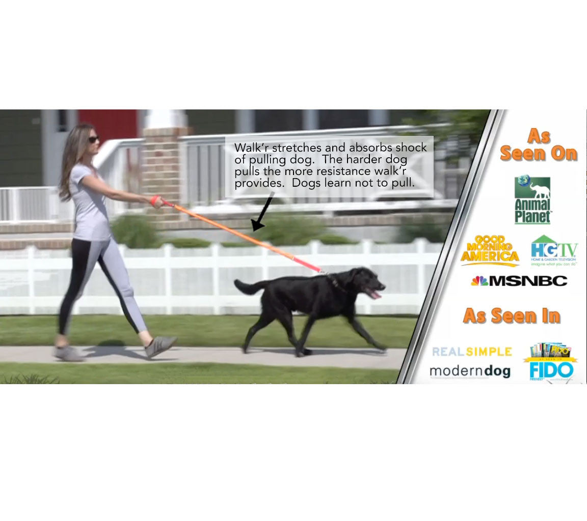 WUNDERleash No-Pull Dog Leash